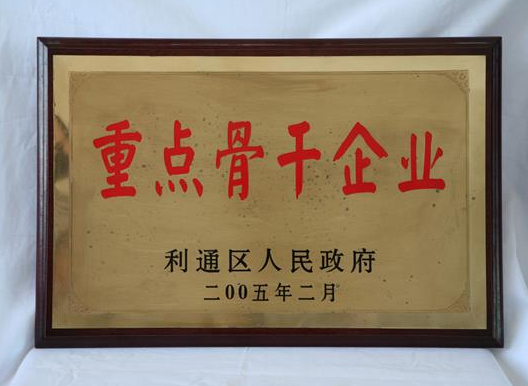 重點骨干企業